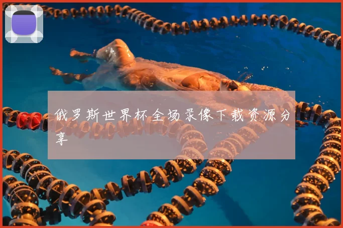俄罗斯世界杯全场录像下载资源分享