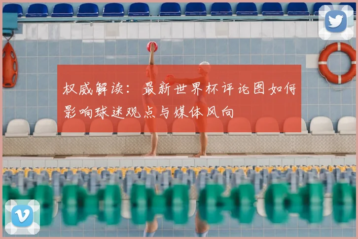 权威解读：最新世界杯评论图如何影响球迷观点与媒体风向