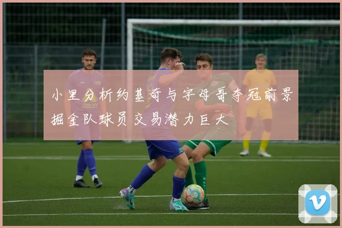 小里分析约基奇与字母哥夺冠前景掘金队球员交易潜力巨大