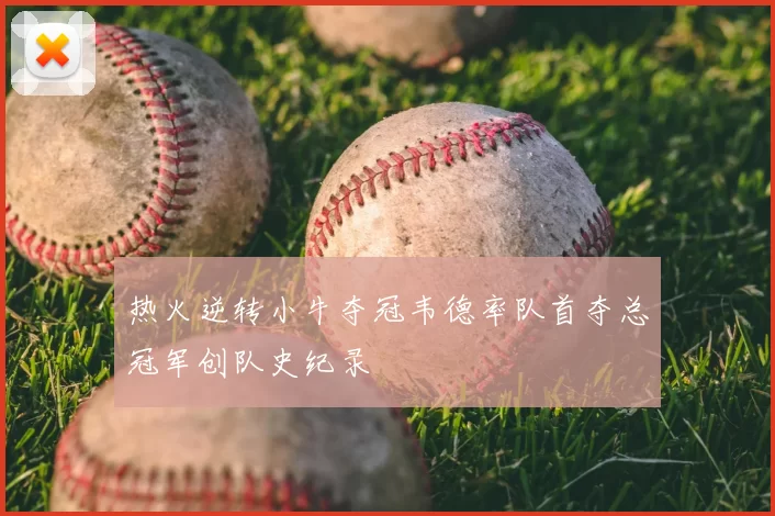 热火逆转小牛夺冠韦德率队首夺总冠军创队史纪录