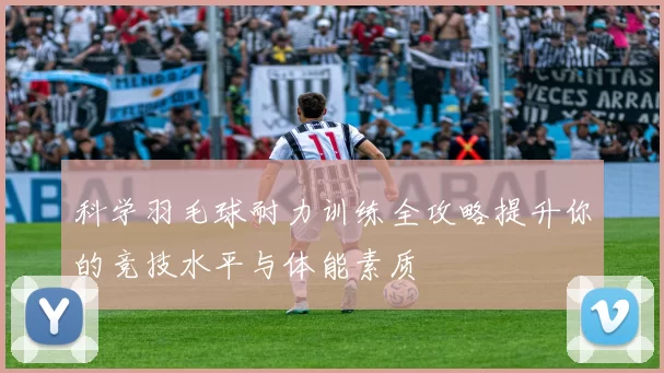 科学羽毛球耐力训练全攻略提升你的竞技水平与体能素质
