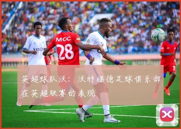 英超球队沃：沃特福德足球俱乐部在英超联赛的表现