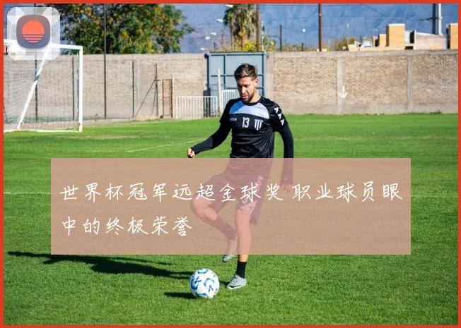 世界杯冠军远超金球奖 职业球员眼中的终极荣誉