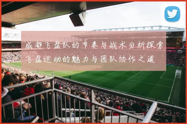 成都飞盘队的节奏与战术分析探索飞盘运动的魅力与团队协作之道