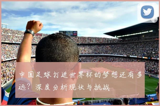 中国足球打进世界杯的梦想还有多远？深度分析现状与挑战