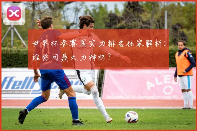 世界杯参赛国实力排名独家解析：谁将问鼎大力神杯？