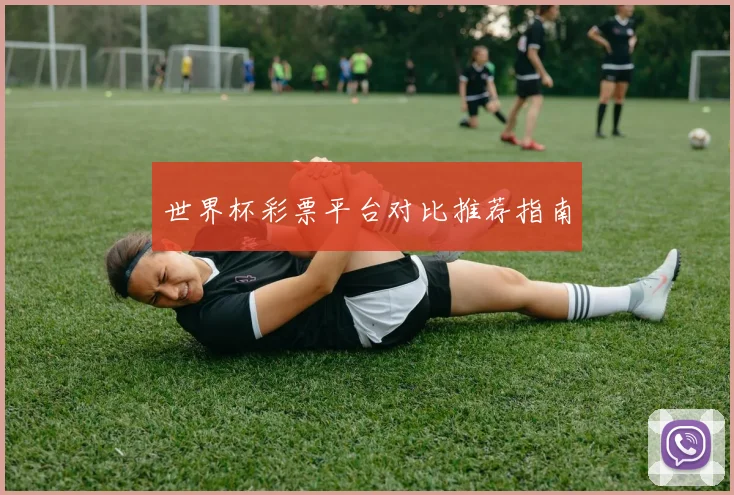 世界杯彩票平台对比推荐指南