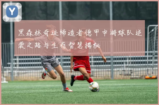 黑森林奇迹缔造者德甲中游球队逆袭之路与生存智慧揭秘