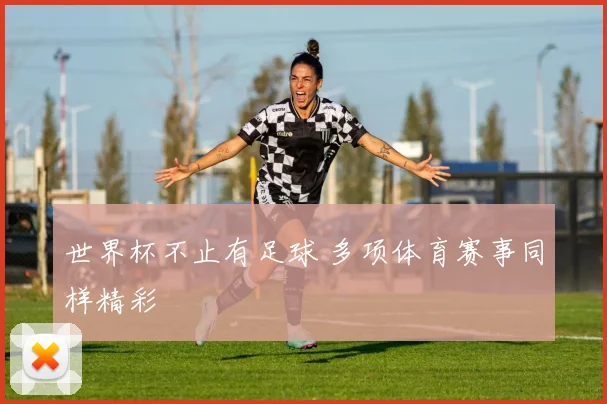世界杯不止有足球 多项体育赛事同样精彩