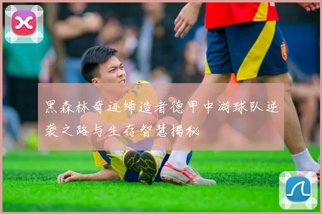 黑森林奇迹缔造者德甲中游球队逆袭之路与生存智慧揭秘